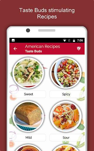 American Food Recipes Offline screenshot 12