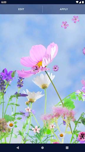 Spring Flowers Live Wallpaper screenshot 5