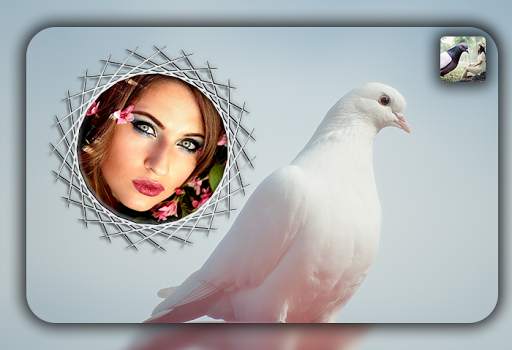Dove Photo Editor - Dove Photo Frames screenshot 1