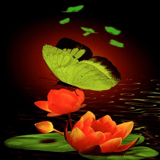 Green Butterflies Live Wallpaper 3
