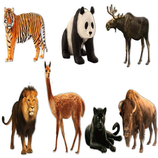 AtoZ Animal Name 1.44