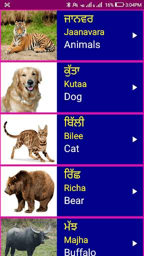 Learn Punjabi From English screenshot 2
