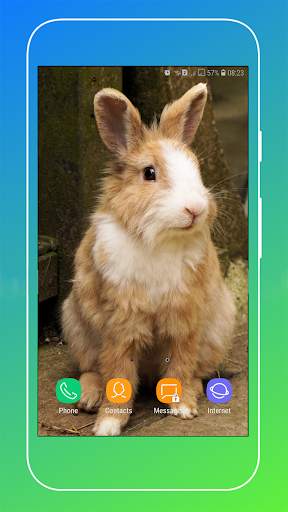 Rabbit Wallpaper screenshot 11