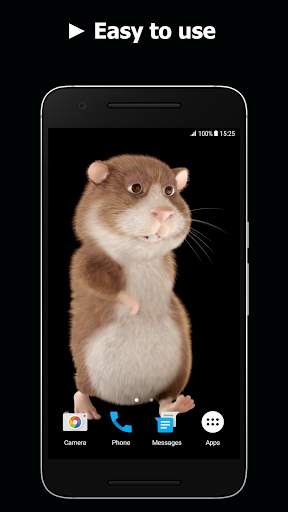 Hamster Video Live Wallpaper screenshot 3