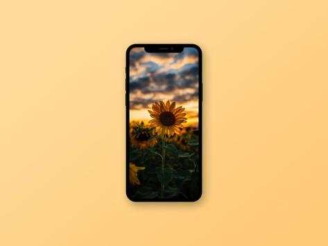 Sunflower Wallpaper screenshot 2