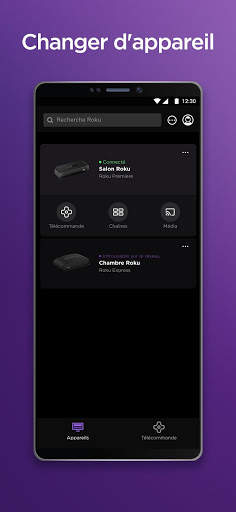 Roku screenshot 2