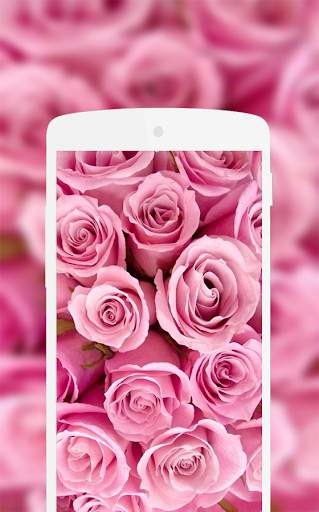Pink Wallpaper 4 تصوير الشاشة