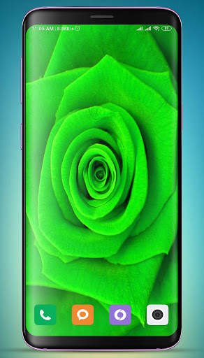Rose Wallpaper HD screenshot 4