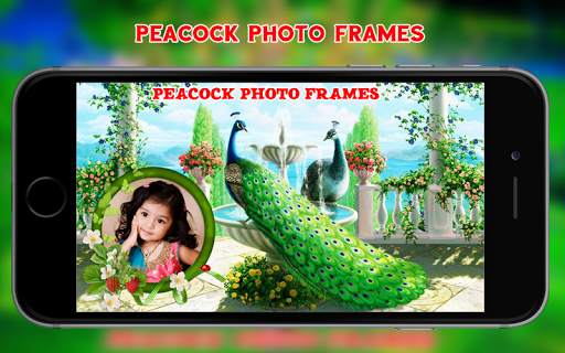 Peacock Photo Frames 3 تصوير الشاشة