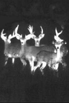 Night Vision Thermal Color Filter Effect CameraLit screenshot 2
