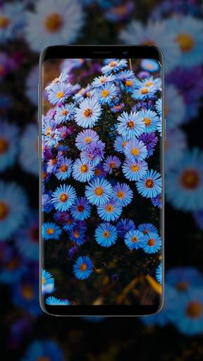Flower Wallpapers in HD, 4K screenshot 4