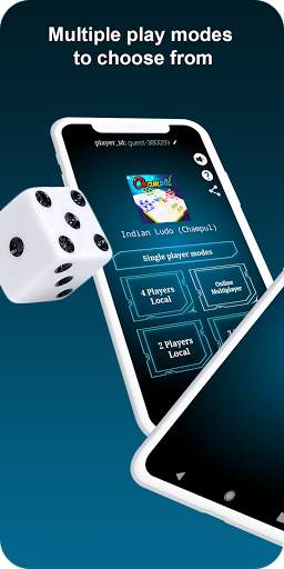 Indian Ludo (Champul) screenshot 6