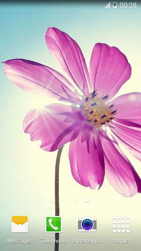 My Flowers Colors HD WALLPAPER screenshot 3