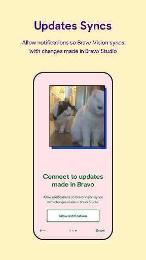 Bravo Vision screenshot 4