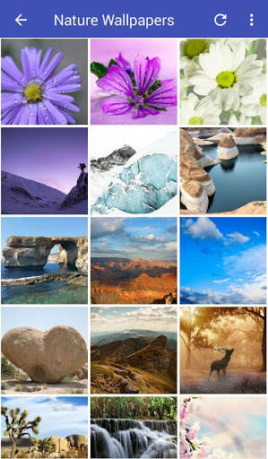 Nature Wallpapers HD screenshot 4