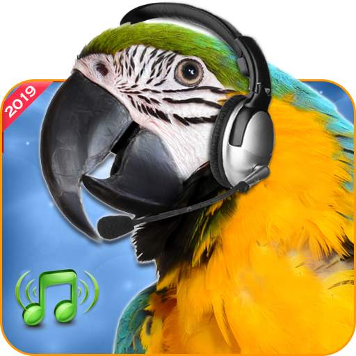 Bird Calls, Sounds & Ringtones for mind relaxation 1.4