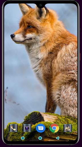 Fox Wallpaper 4K Latest screenshot 12