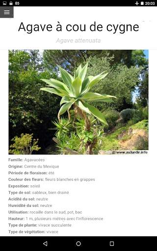 Au Cactus screenshot 13