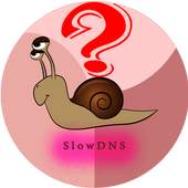 Guide for VPN Over DNS Tunnel : SlowDNS 1.0