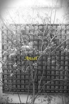 Camera Filter Free screenshot 7