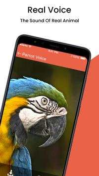 Animal Sound Ringtone screenshot 3