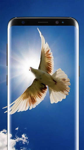 Bird Wallpapers Live HD स्क्रीनशॉट 2