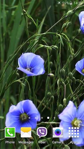 Blue Flowers Live Wallpaper screenshot 1