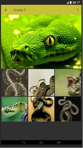 Snake Wallpaper screenshot 3