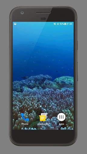 Sea Life Theme Video Wallpaper screenshot 4