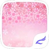 Cherry Blossoms 1.1.1
