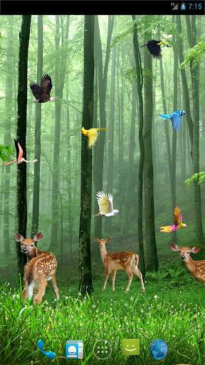 Rain Forest Live Wallpaper screenshot 1