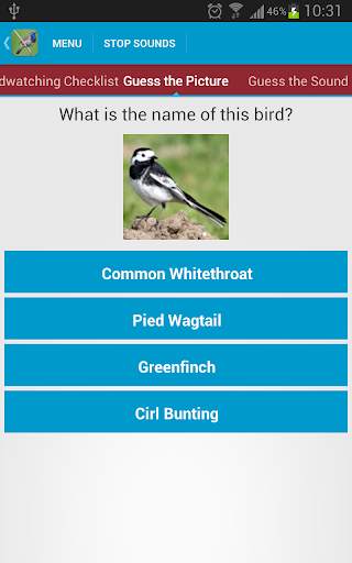 UK Birds Sounds Free स्क्रीनशॉट 4