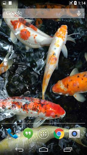 Koi Underwater Live Wallpaper screenshot 2