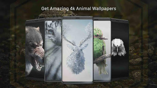 Wallpapers 4K, 3D/HD Backgrounds screenshot 7