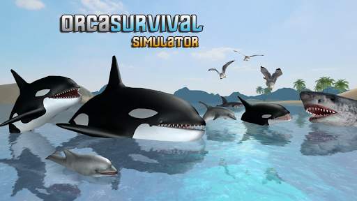 Orca Survival Simulator screenshot 2