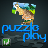 Puzzle Play Birds आइकन
