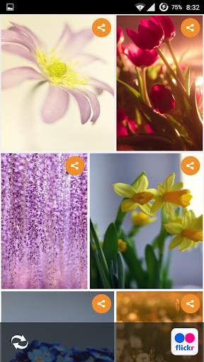Flowers HD live Wallpapers screenshot 1