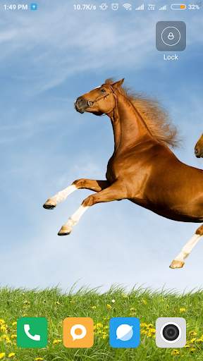 Horse Wallpaper HD screenshot 15