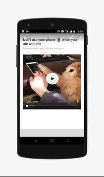Funny Animals-Video screenshot 2