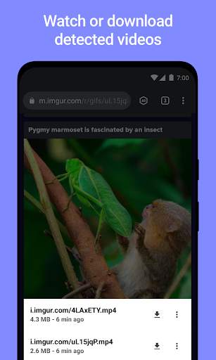 Vider Adblock - Video Browser screenshot 2