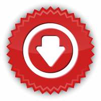 all Stories Downloader logo