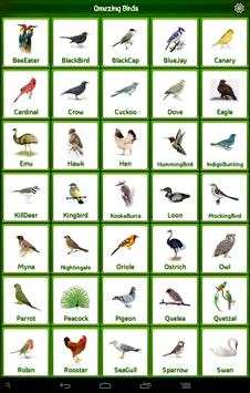 Birds Calls Sounds Ringtones screenshot 5
