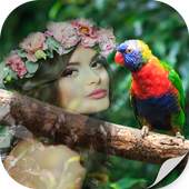 Photo blender Nature - Image mixer: Photo Editor 1.0.0
