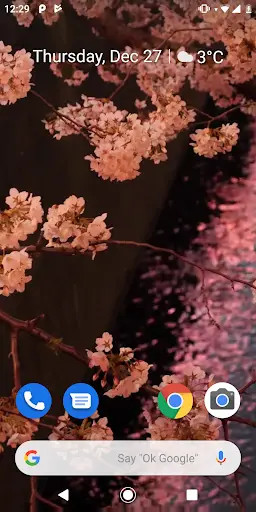 Japanese Sakura Garden Video Wallpapers Gallery screenshot 1