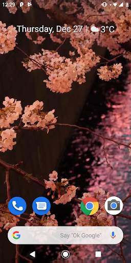 Japanese Sakura Garden Video Wallpapers Gallery screenshot 1