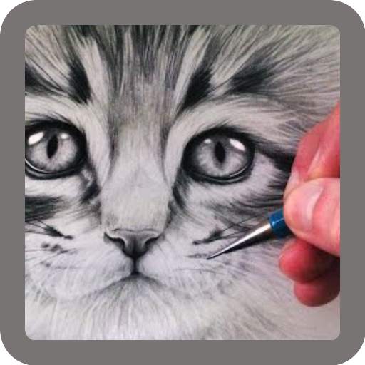 Pencil Sketch - Videos 10.1.9
