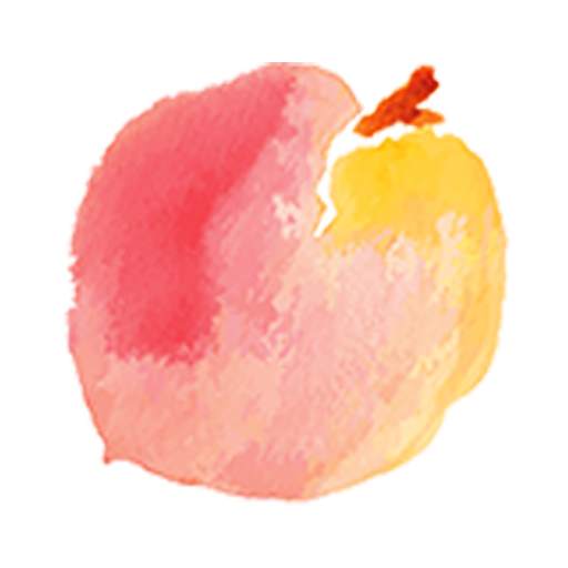 Peachmode Online Shopping 9.2022021340
