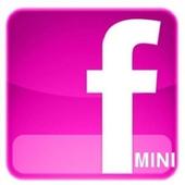 Facebook Mini icon
