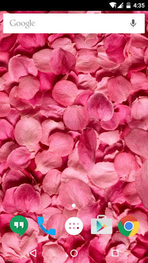 Flower Petals 3D Wallpaper HD screenshot 4