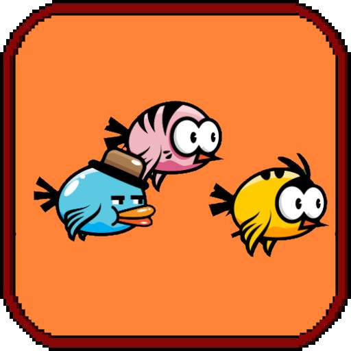 Bird Race 1.1